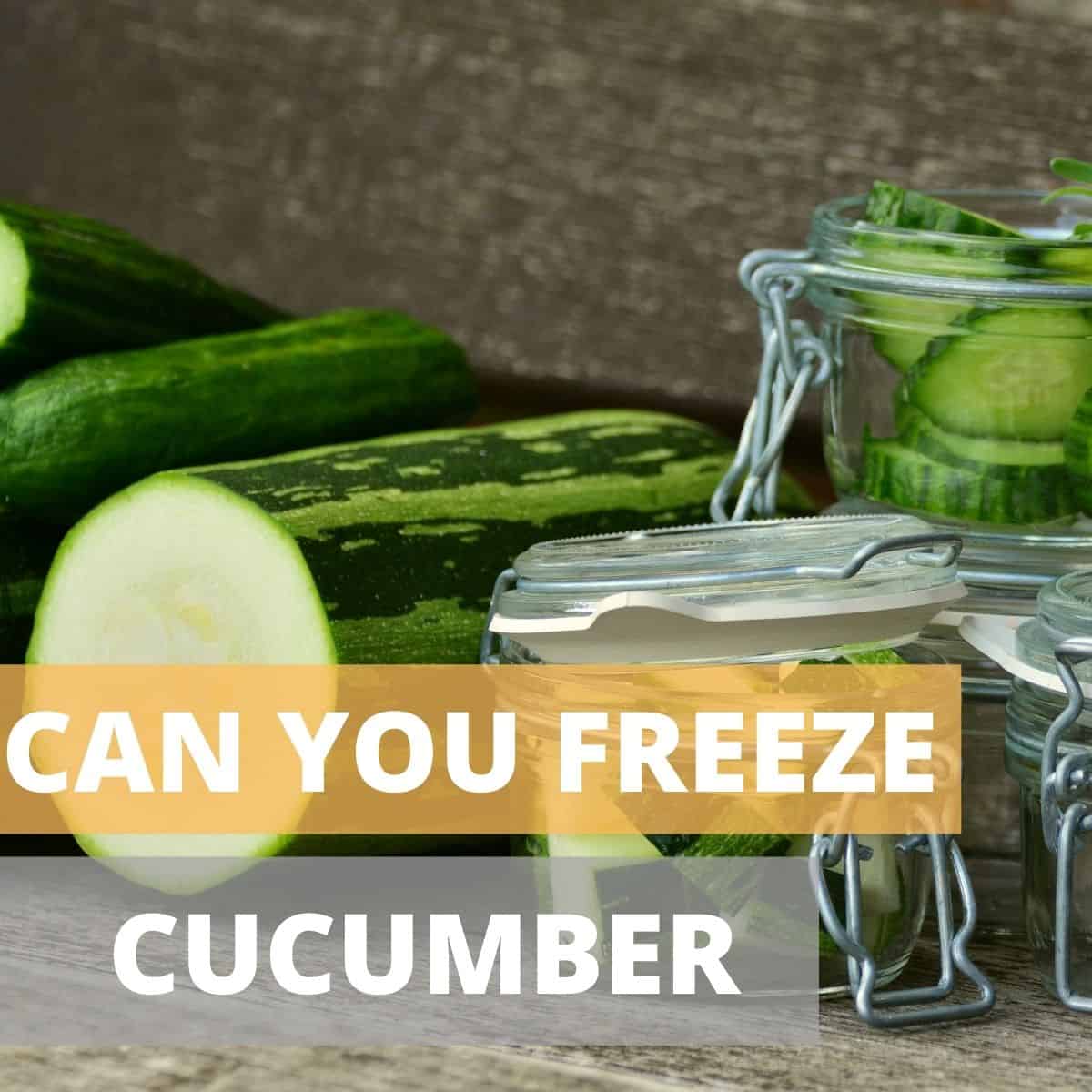 Can You Freeze Cucumbers Yes You Can 3023