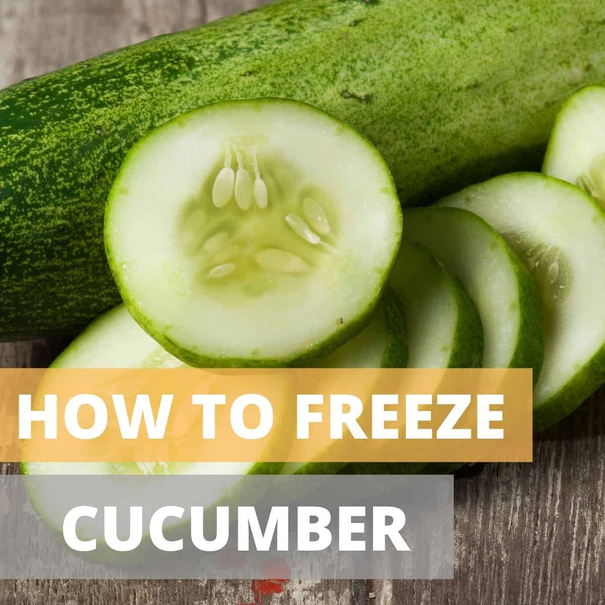Can You Freeze Cucumbers Yes You Can 9364